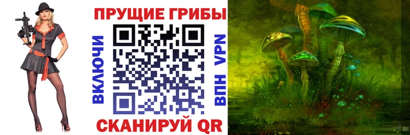 Псилоцибиновые грибы Psilocybe  Среднеколымск 
